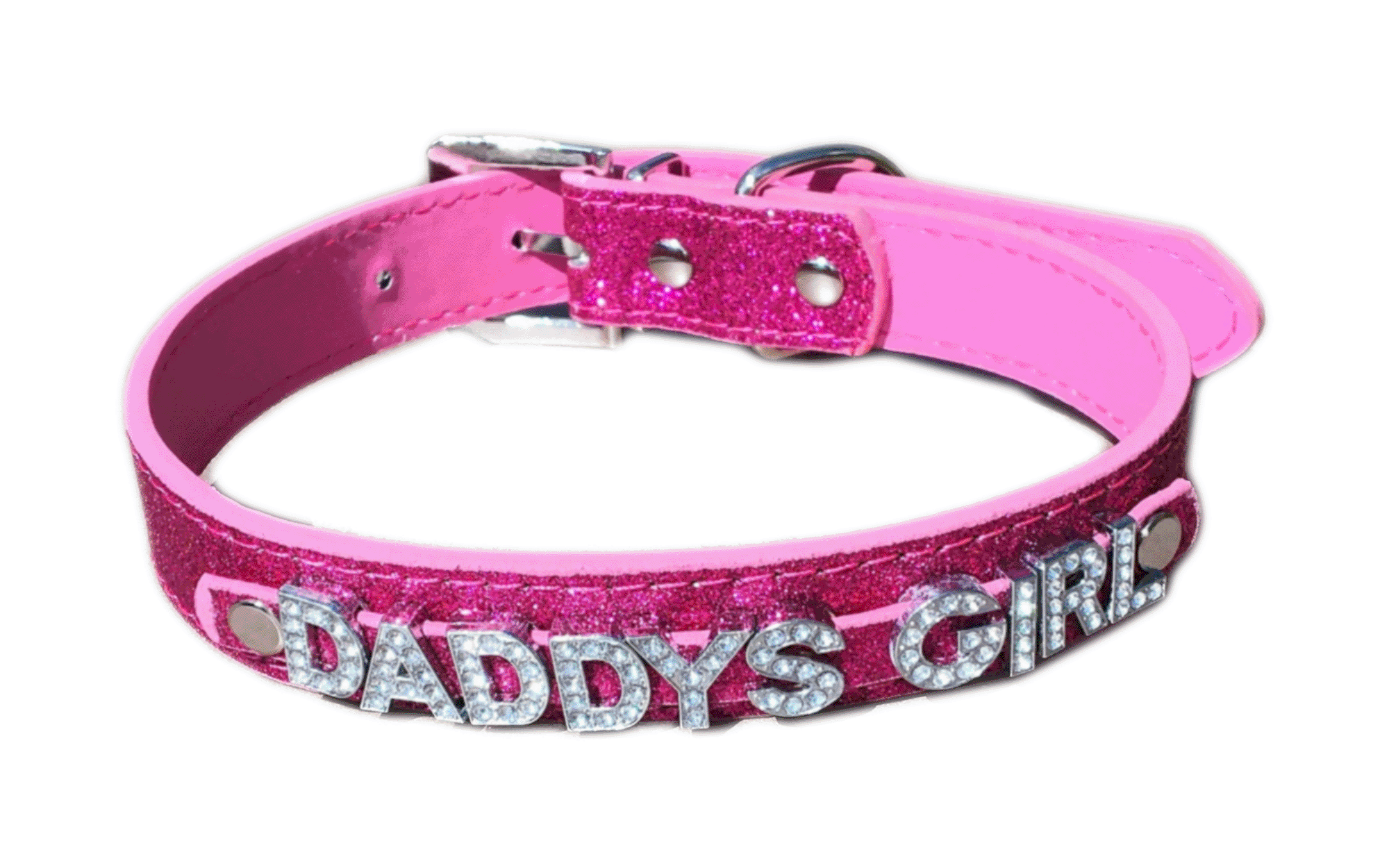 Daddy's Girl Dog Leash